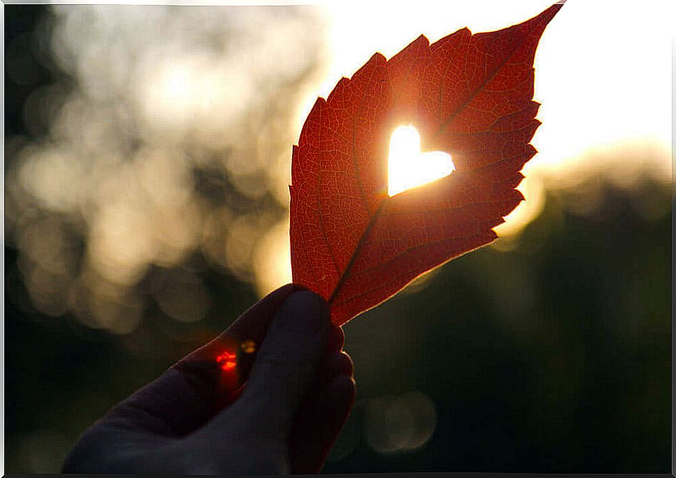 Leaf with heart