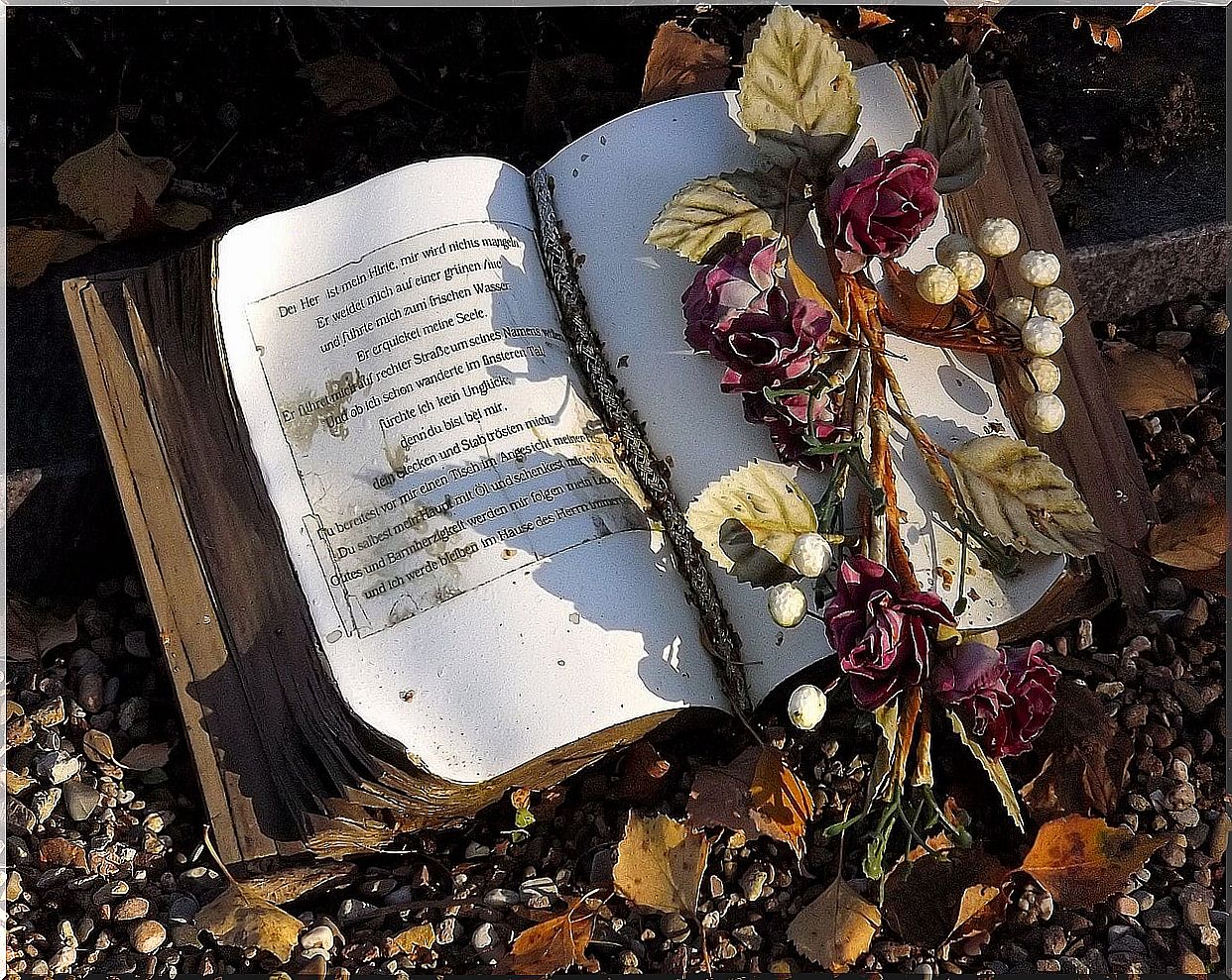 Book and rose in a cemetery