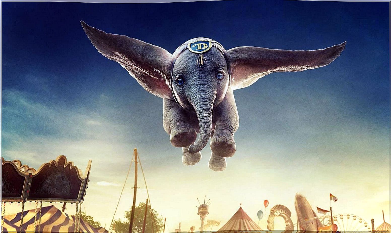 Dumbo: an update from the past