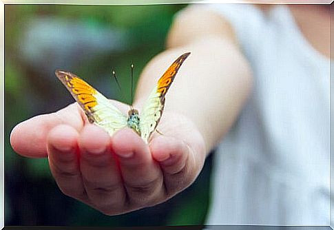 Butterfly in a woman's hand to represent the Neurobiology of Hope