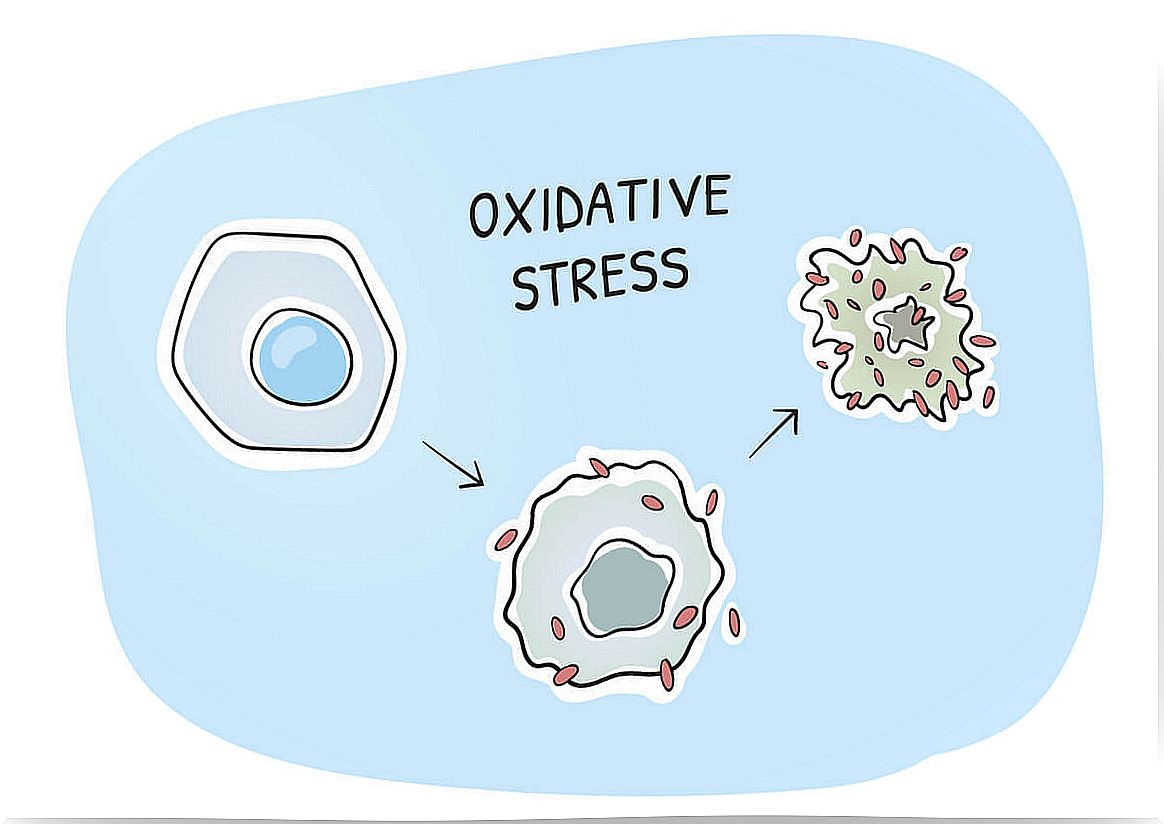 Cells with oxidative stress