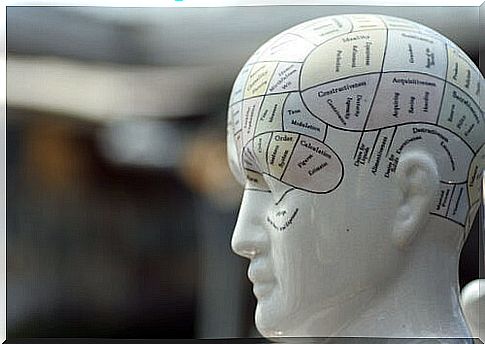 Phrenology: size matters