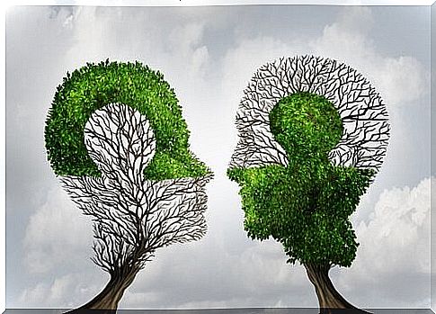 Trees shaped like heads representing social intelligence