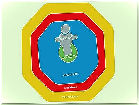 Brofenbrenner ecological model