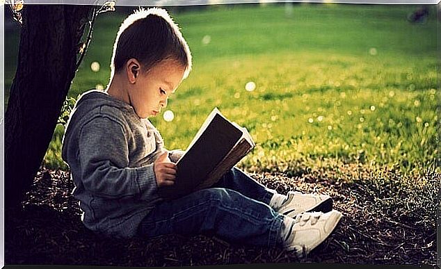 Boy reading a book