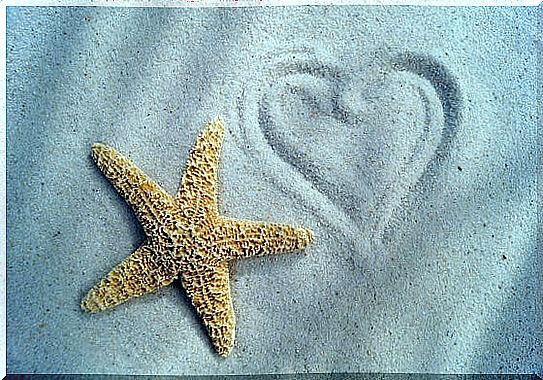 starfish in the sand next to a heart