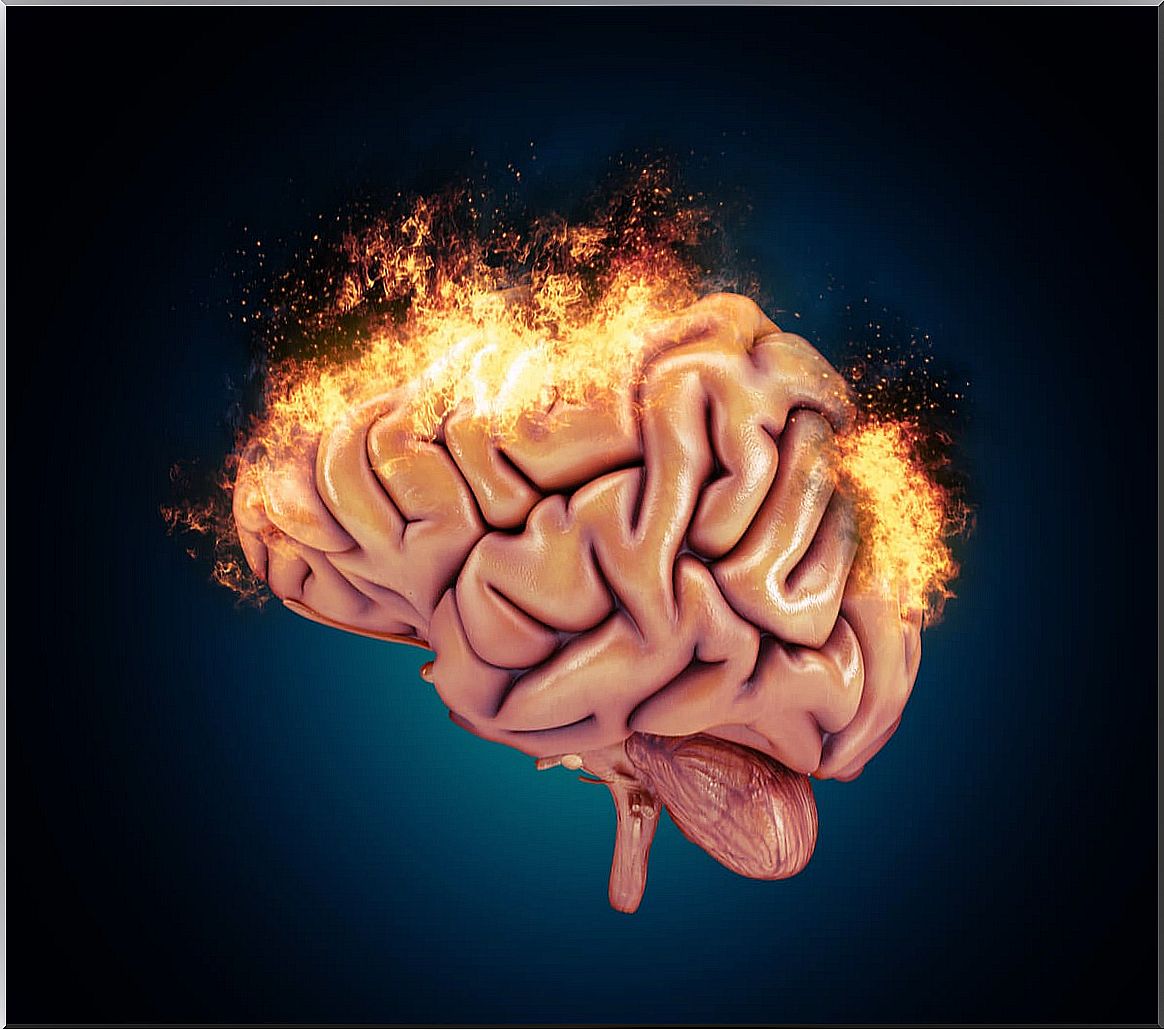 Brain on fire to represent the neurological basis of aggressiveness