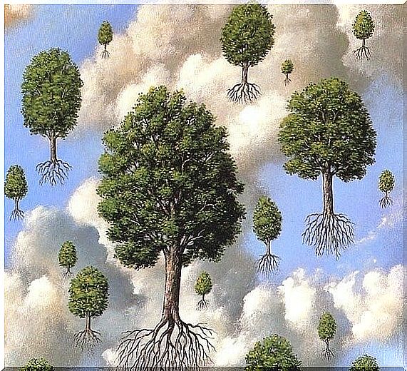 trees with roots